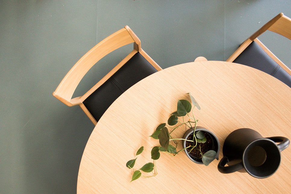 Home Plant Decor Ideas