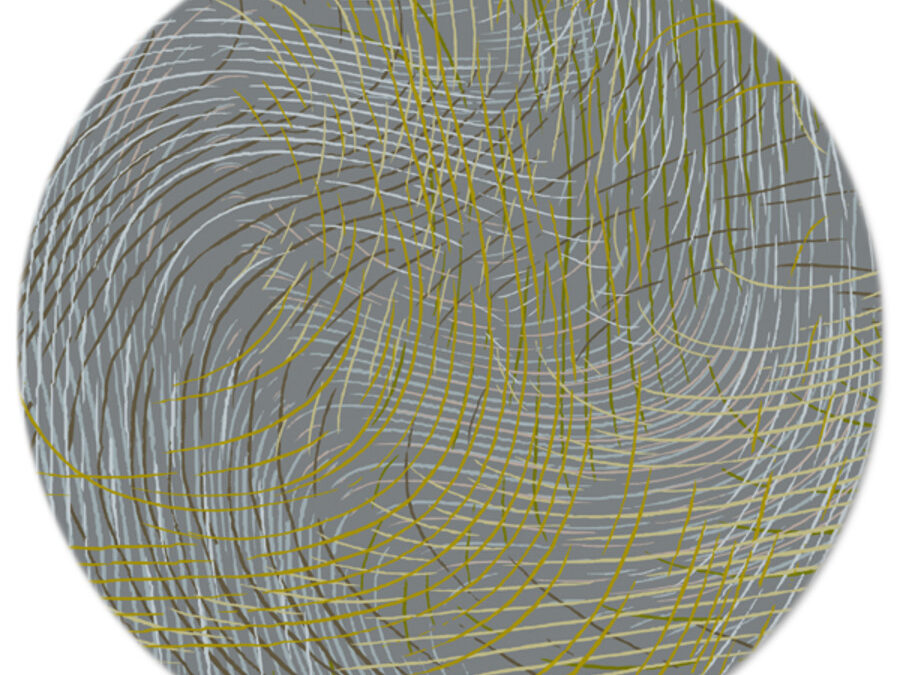 Helix in Seaweed, 8 ft. x 8 ft. round