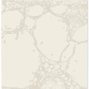 Eden in Fossil, 8 ft. x 10 ft.