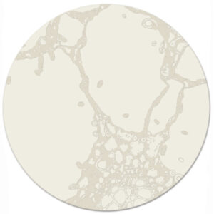 Eden in Fossil, 8 ft. x 8 ft. round