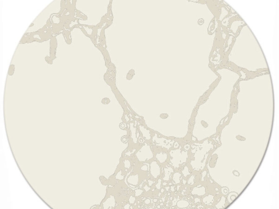 Eden in Fossil, 8 ft. x 8 ft. round