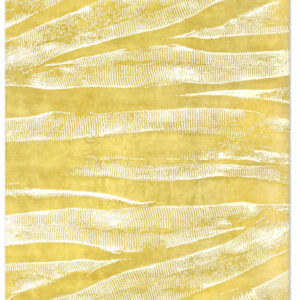 Ebu in Saffron, 10 ft. x 14 ft.