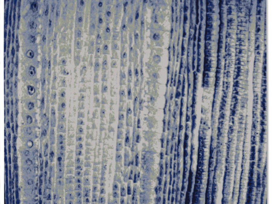 Sunsum in Lapis, 8 ft. x 10 ft.