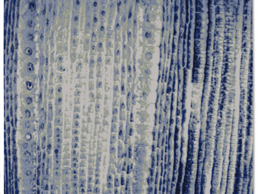 Sunsum in Lapis, 12 ft. x 16 ft.